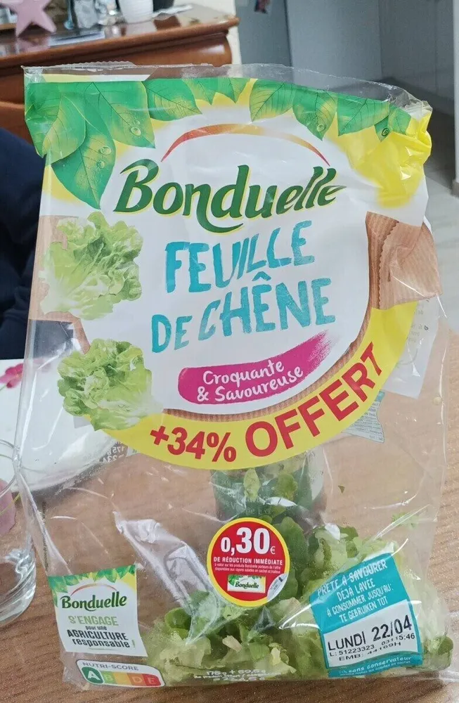 Feuille de chêne