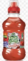 Fruit Shoot Goût Grenadine