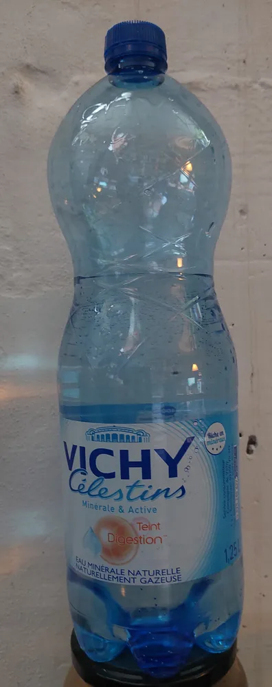 Vichy