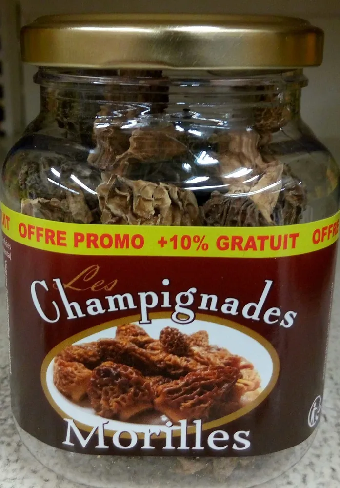 Morilles (+ 10 % gratuit)