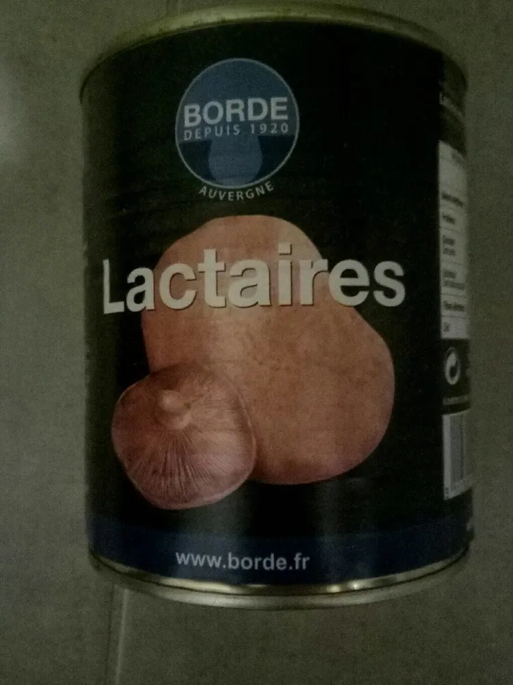 Lactaires