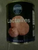 Lactaires