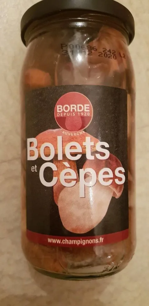 Bolets et Cèpes