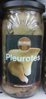 Pleurotes