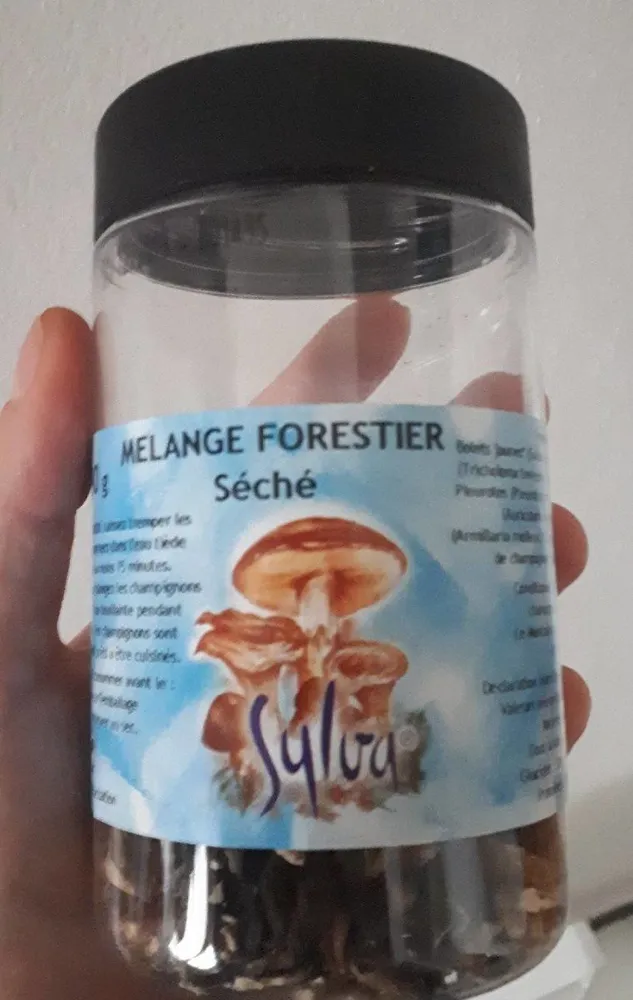 Mélange forestier séché