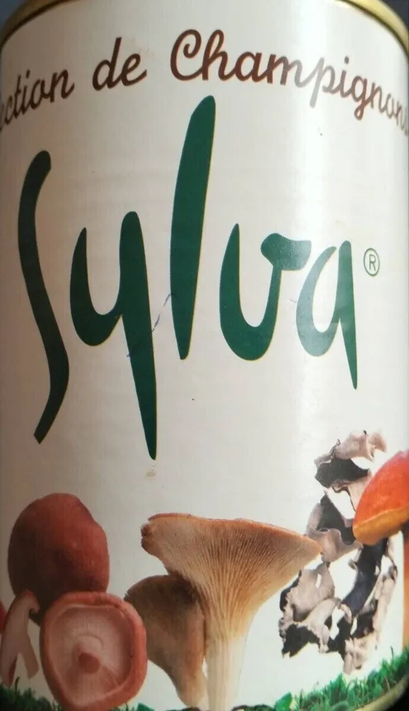 Sélection de champignons