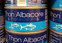 Thon albacore entier au naturel
