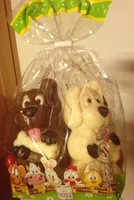 Moulage chiens