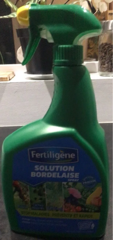 Rossignolle fume