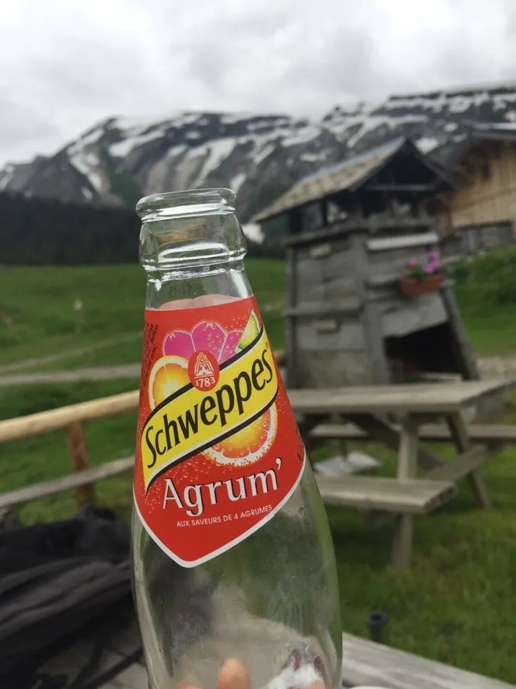Schweppes Agrum