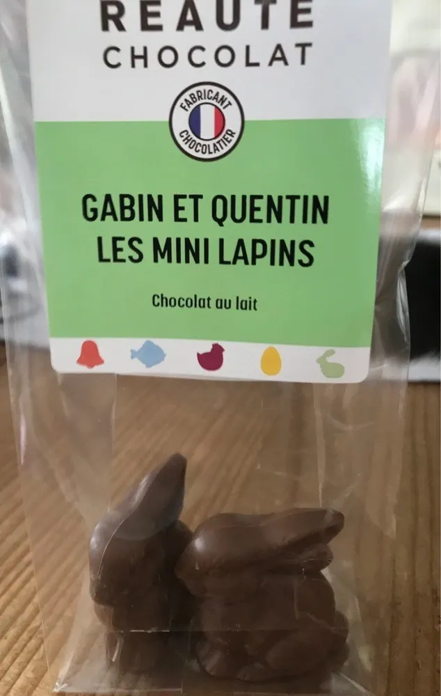 Gabin et Quentin les mini lapins