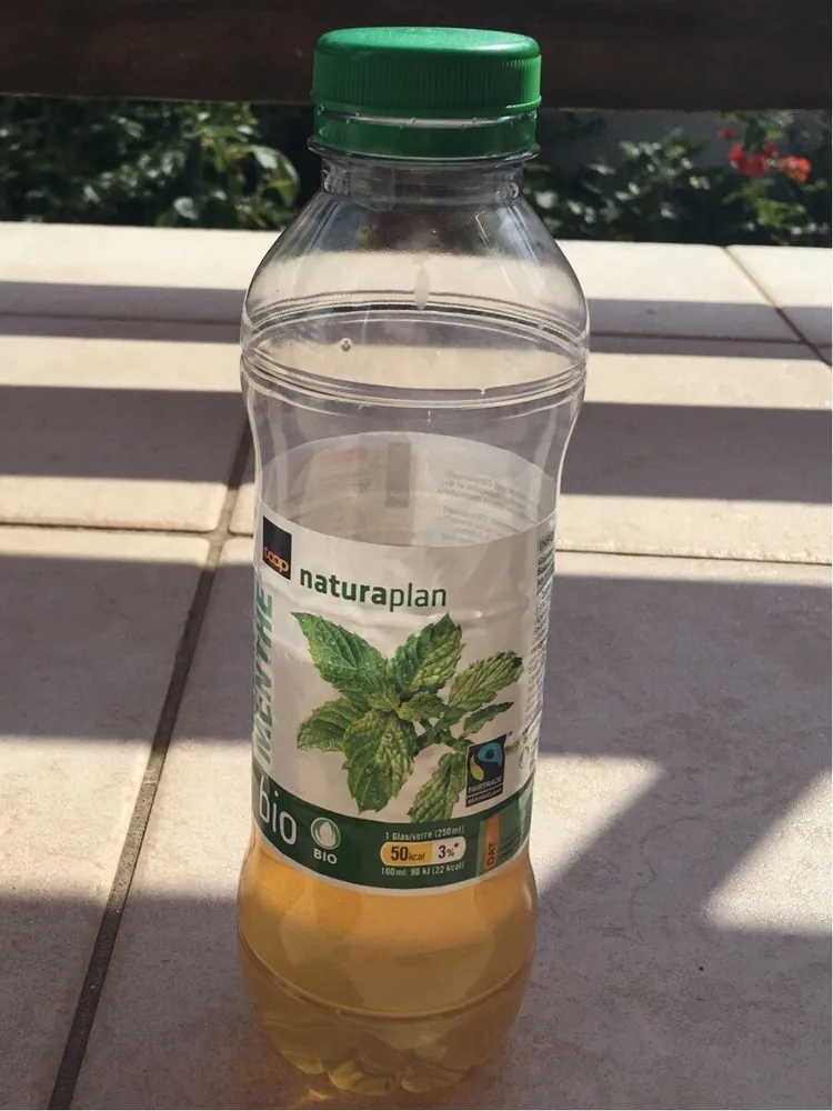 Thé vert menthe