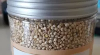 Quinoa bio