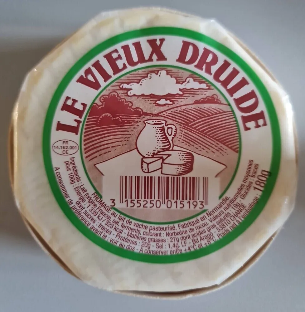 LE VIEUX DRUIDE