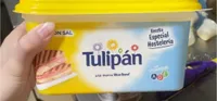 Tulipan