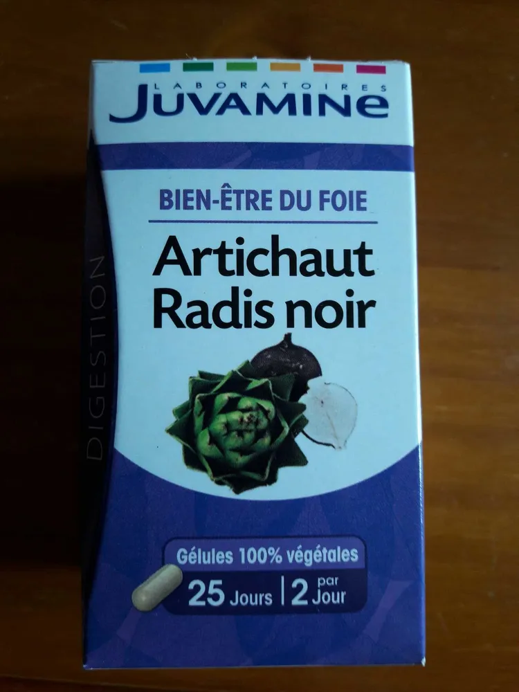 Artichaut Radis Noir Bien être du foie