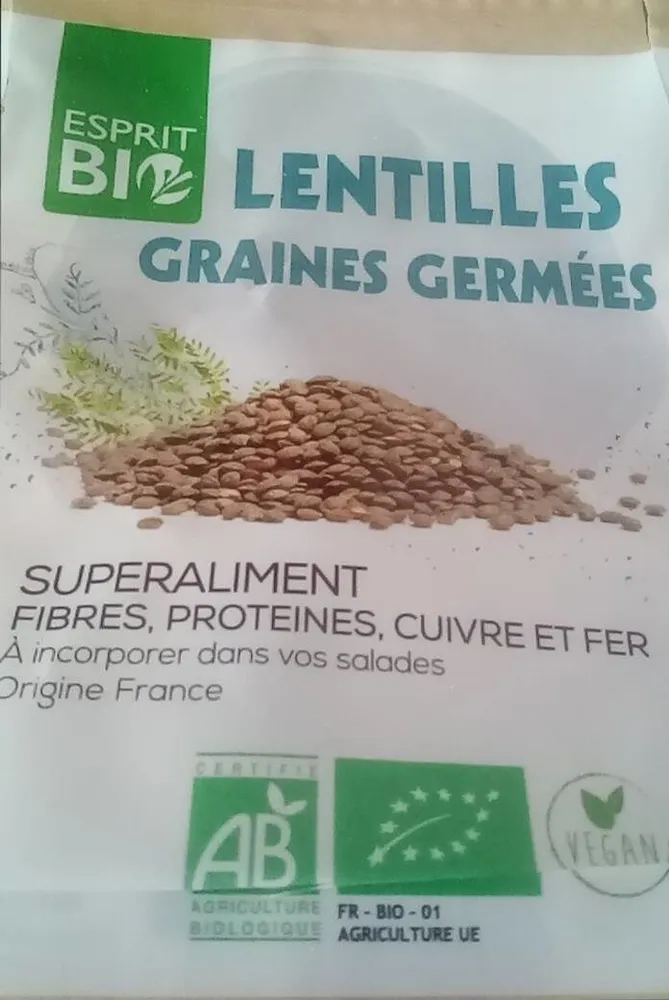 Lentilles graines germées