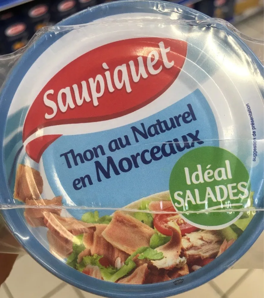 Thon au naturel en Morceaux