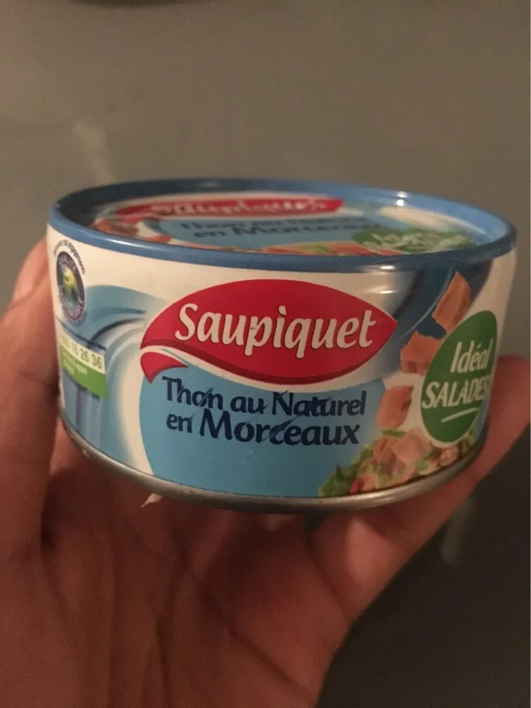 Thon au naturel en morceaux