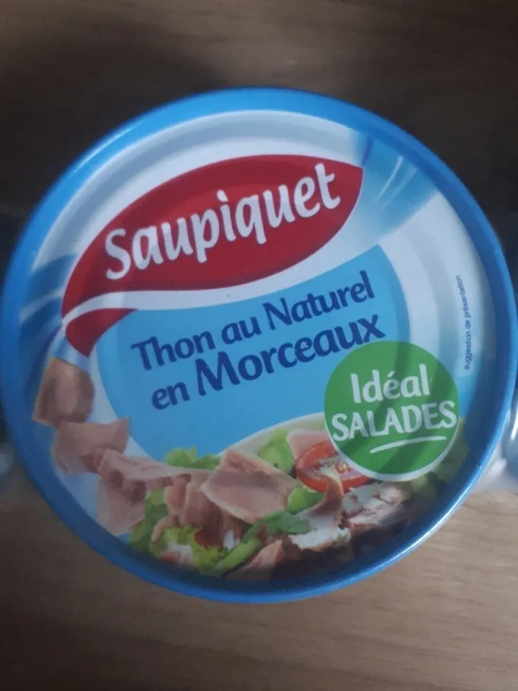 Thon au naturel en morceau
