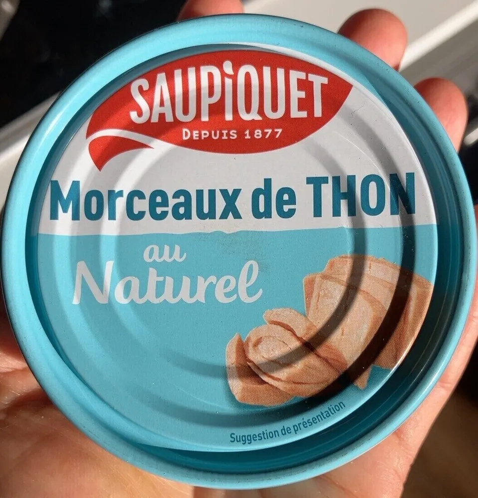 Morceaux de THON au Naturel