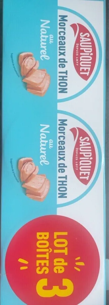 Morceaux de thon au naturel