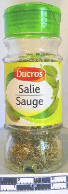 Sauge