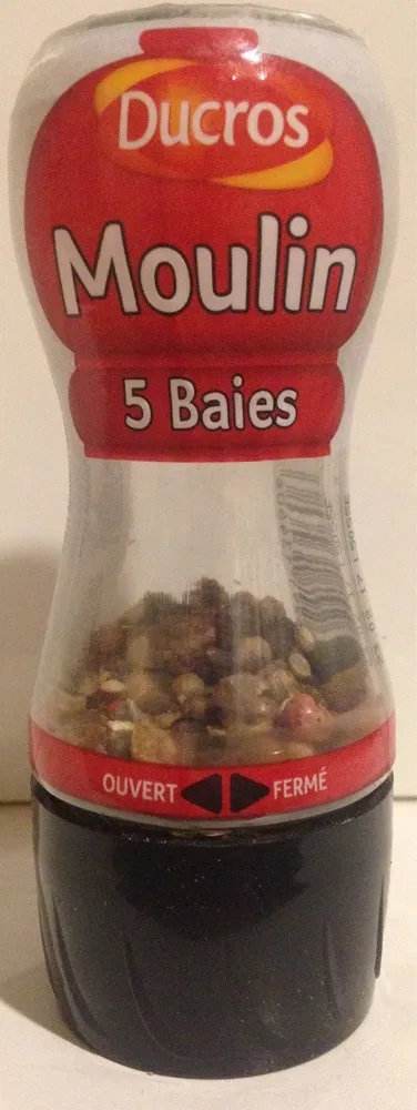 Moulin 5 Baies