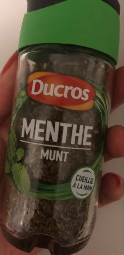 Menthe