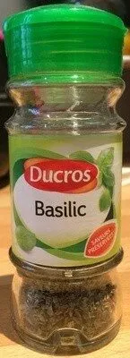 Basilic