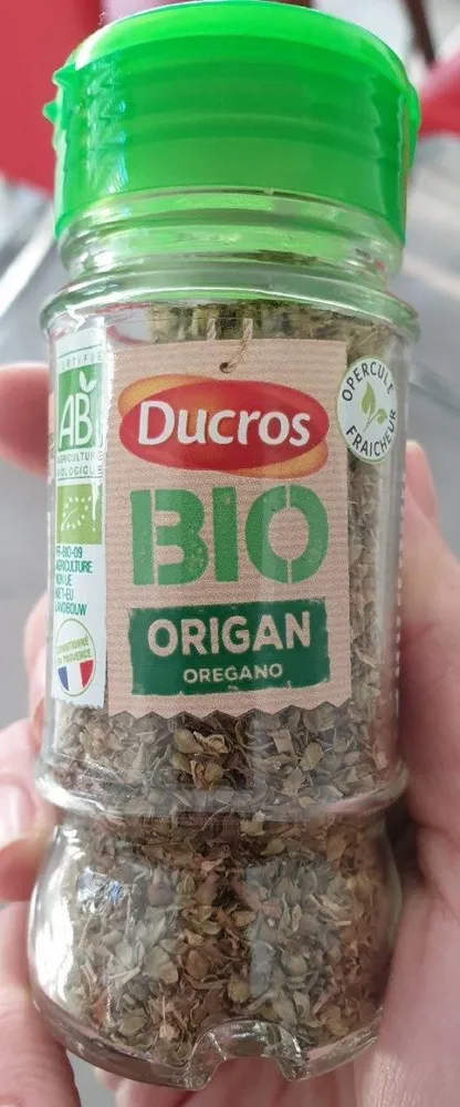Origan