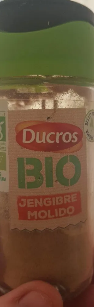 Jengibre molido bio