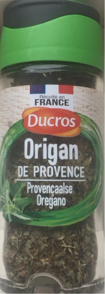 Origan de Provence