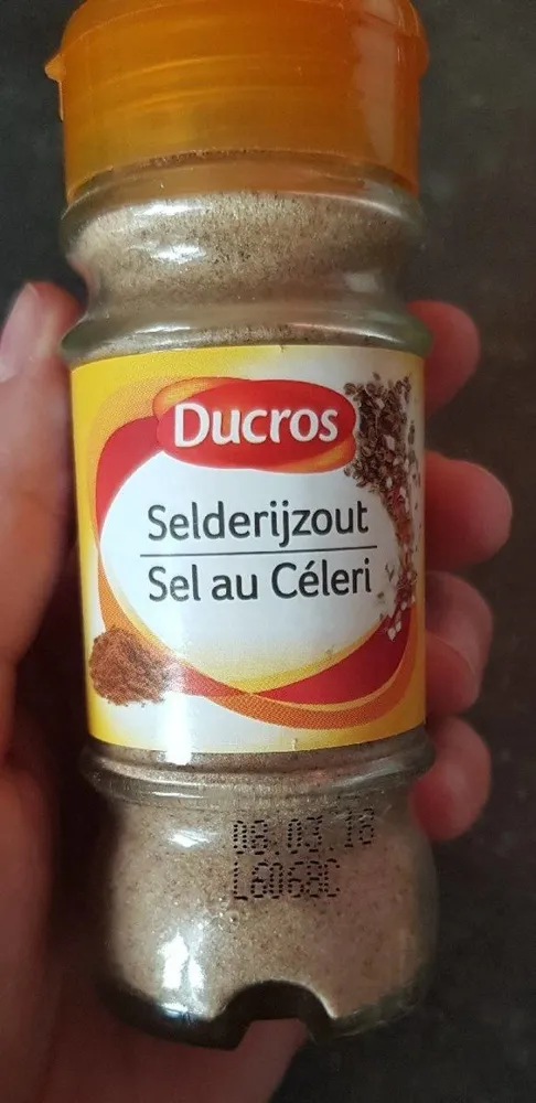 Sel au céleri