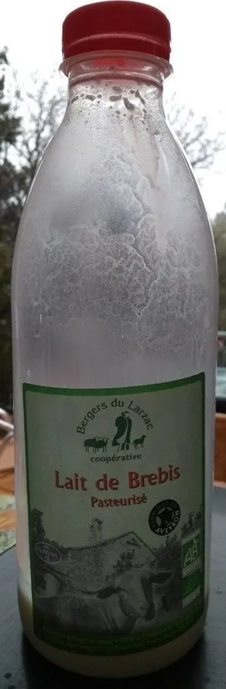 Lait de brebis pasteurisé