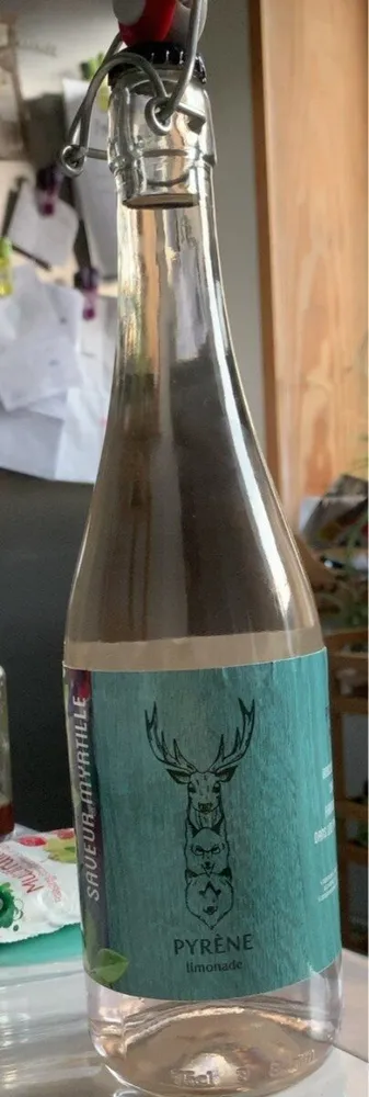 Limonade à la myrtille