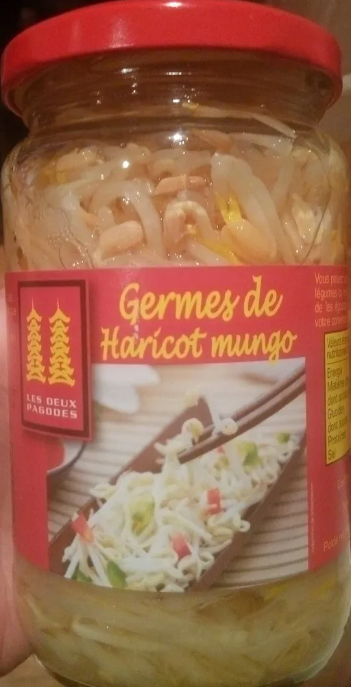Germes de haricot mungo
