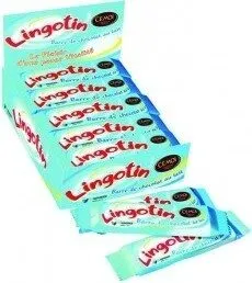 Lingotin
