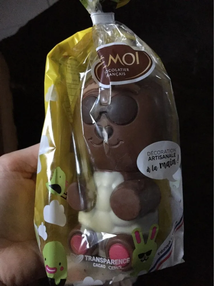 Moulage chocolat au lait decore