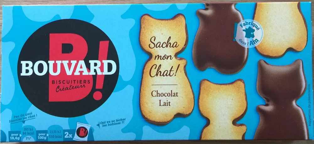 Sacha mon chat