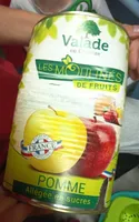 Les moulinés de fruits