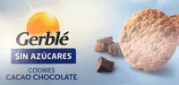 Cookies cacao chocolate