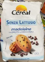 Madleine con pepite di cioccolato