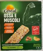 Barretta ossa e muscoli
