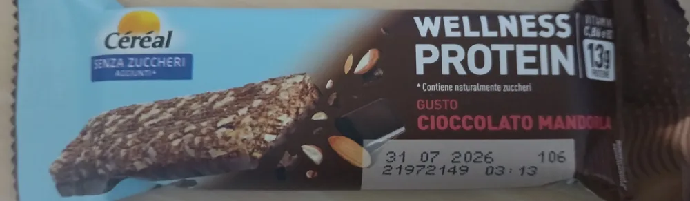 WELLNESS PROTEIN