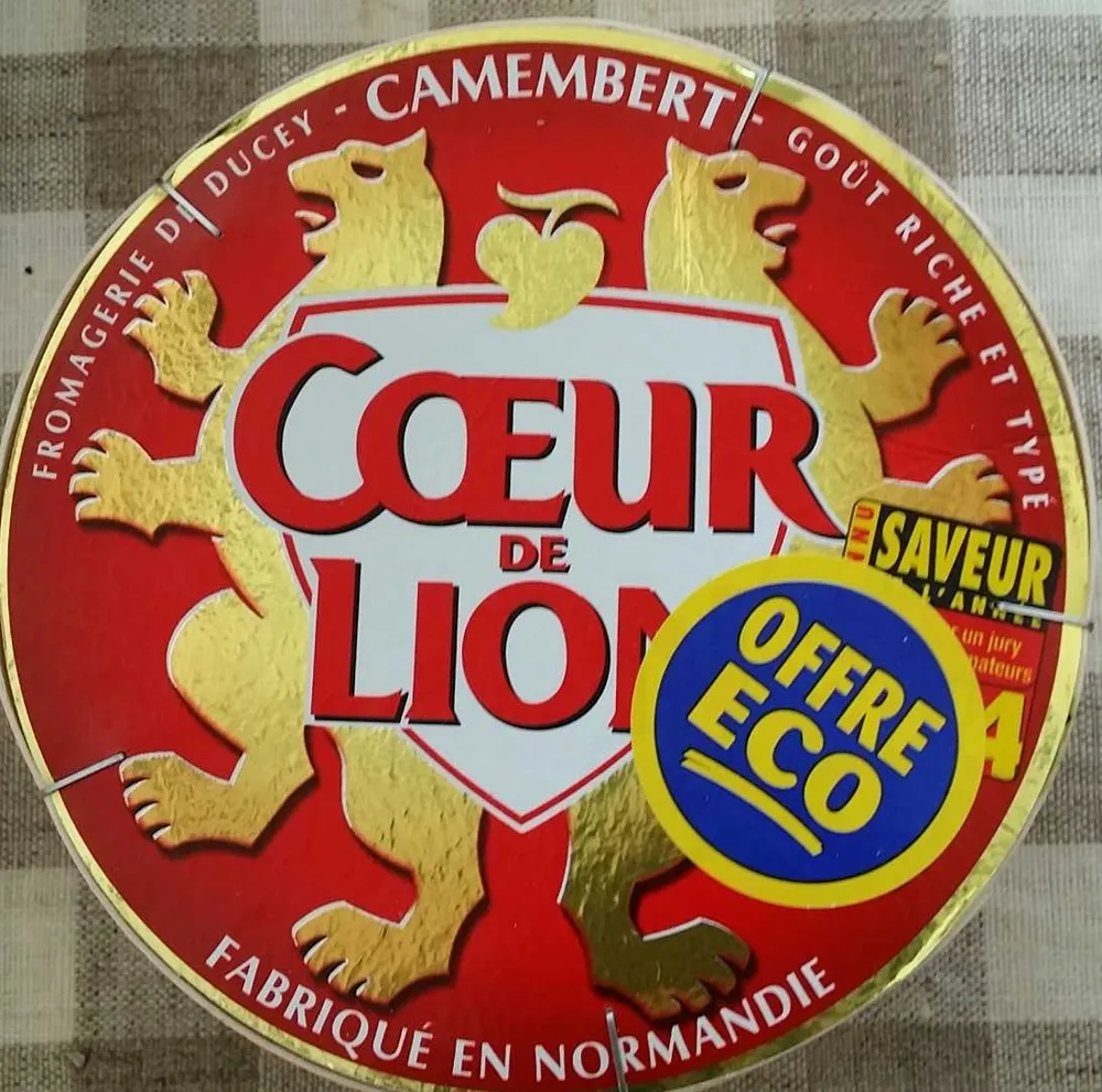 Camembert (21% MG)