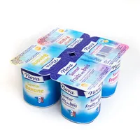 Yaourts saveur vanille