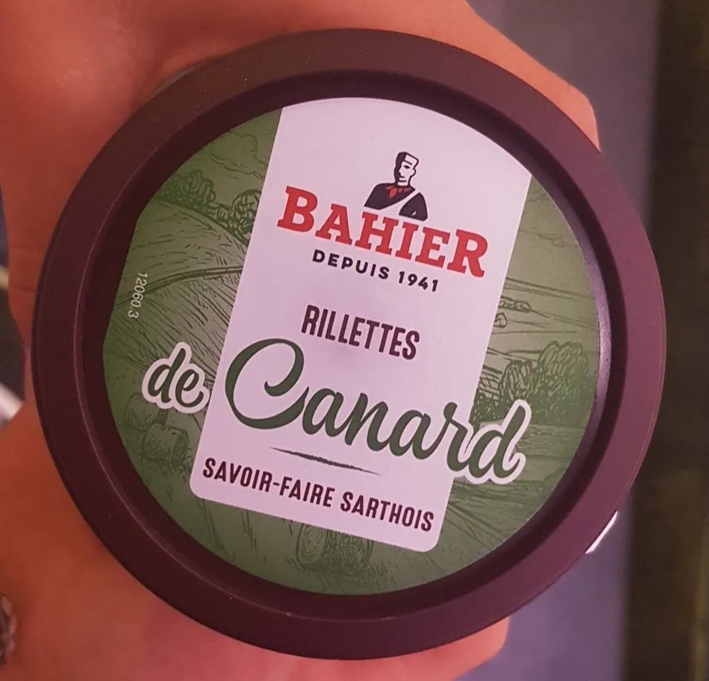 Rillettes de canard