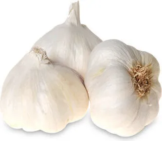Ail Blanc Origine FRANCE