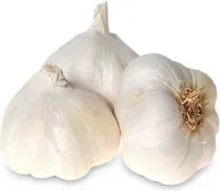Ail Blanc Origine FRANCE